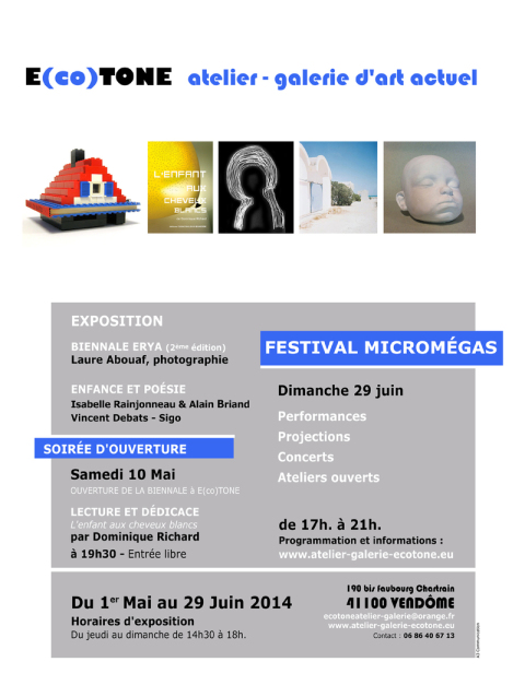 Festival Microméga 2014 - Affiche